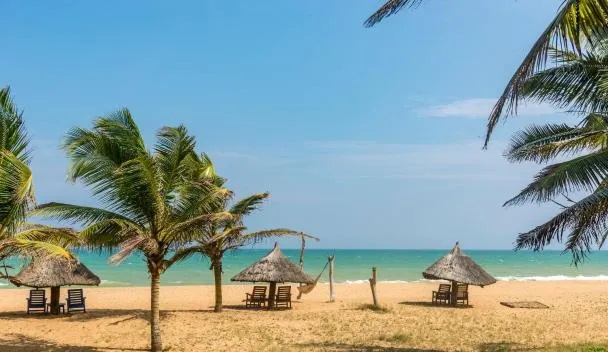 Ville paradisiaque sous les cocotiers